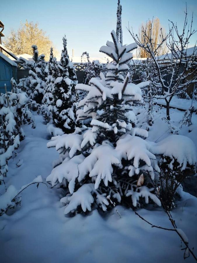 Загородный Коттедж Kek-Dzhar المظهر الخارجي الصورة